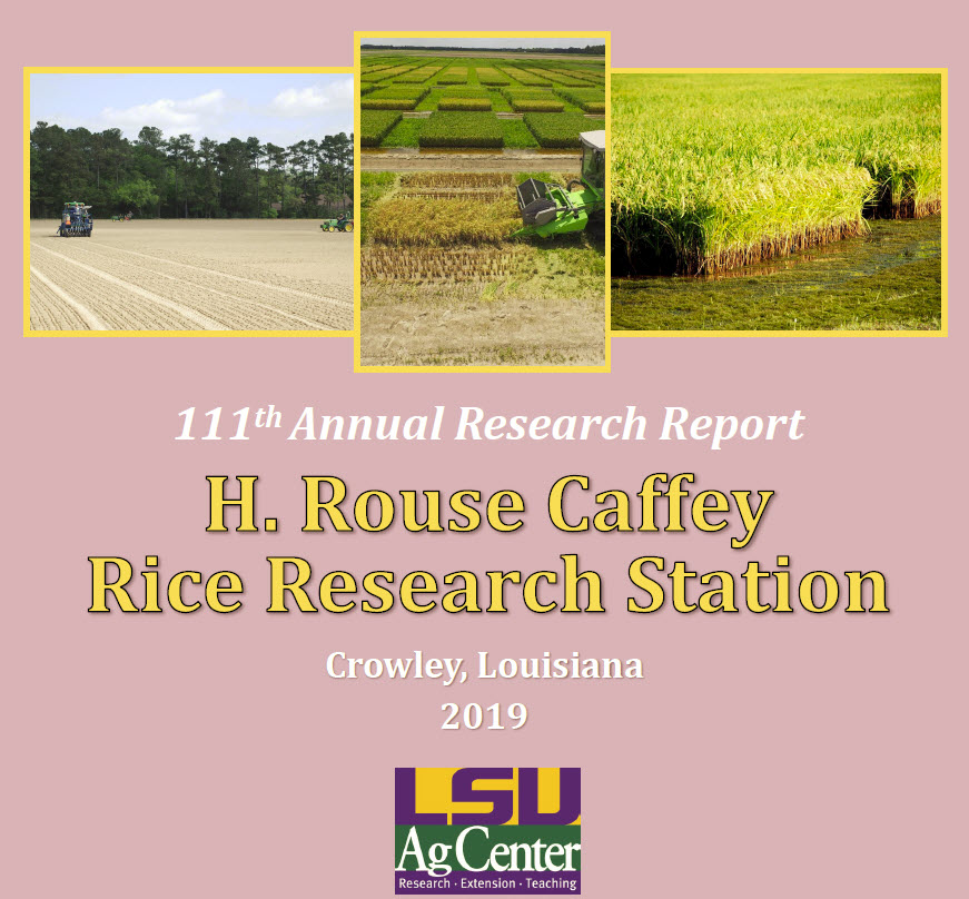 2019 Annual Reportjpg